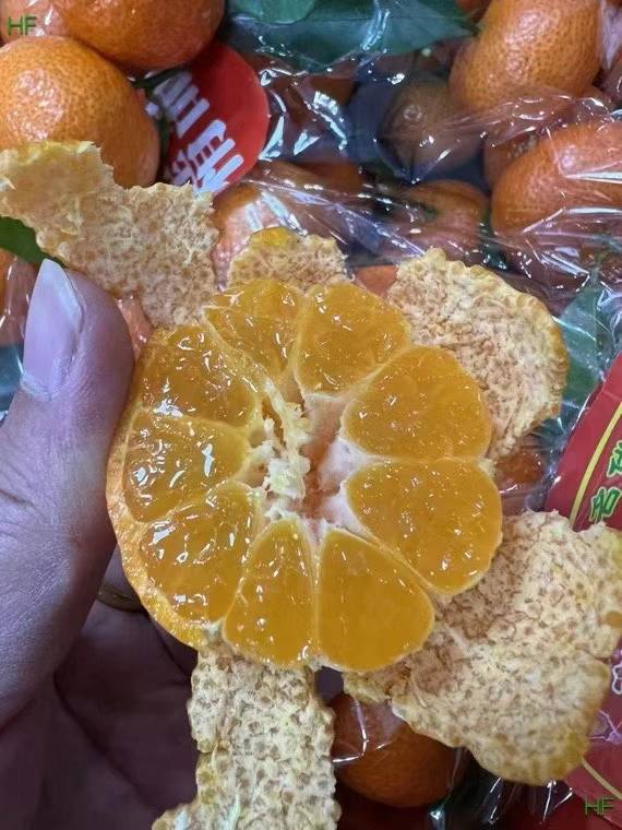 【中國廣西】砂糖橘1箱6公斤