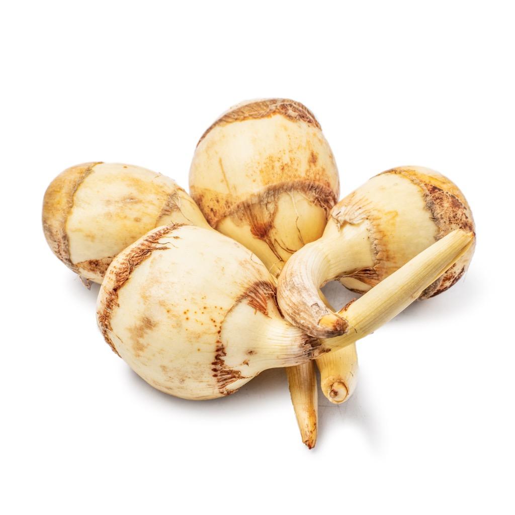 【中国】新鲜茨菇