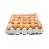 【本地】农场土鸡蛋 Medium Brown 1箱180个