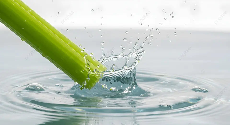 【本地】有机西芹