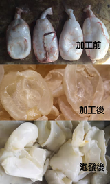 【North Atlantic】Half pound of wild fish maw