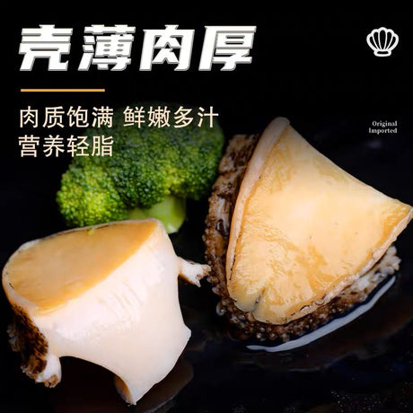 ❄️[Fuyang] Frozen shelled abalone (large size) 250g*1