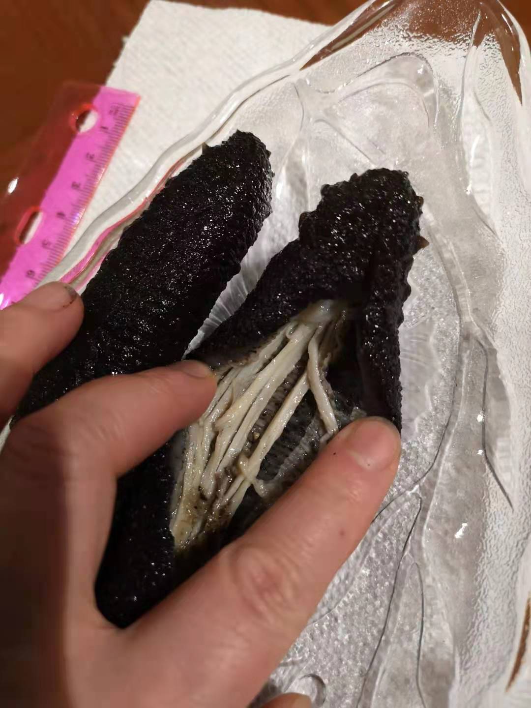 【North Atlantic】Half pound of sea cucumber